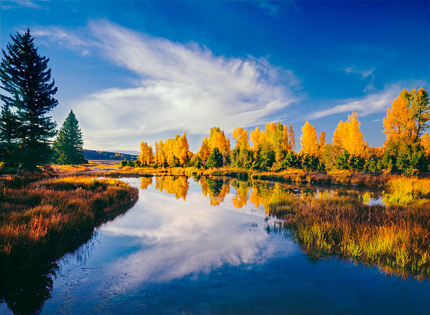istock Grand Teton National Park, WY 478656452