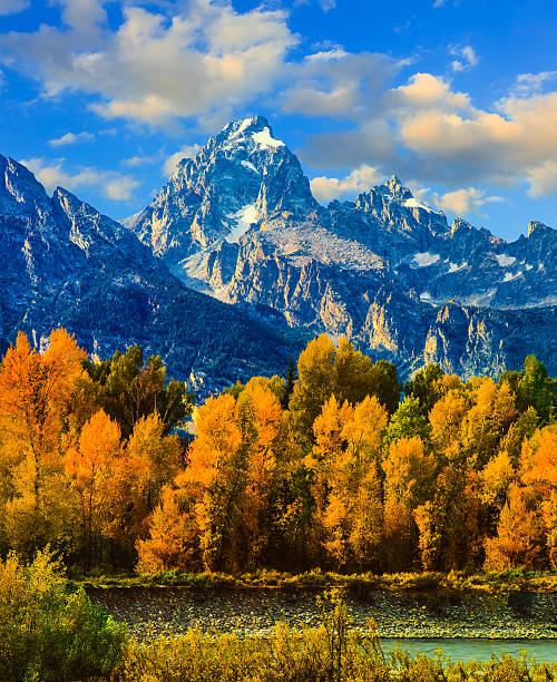 Autumn in Grand Teton Natoinal Park Autumn colors fill the valley below Grand Teton Peak along the Snake River, WY jackson hole photos stock pictures, royalty-free photos & images