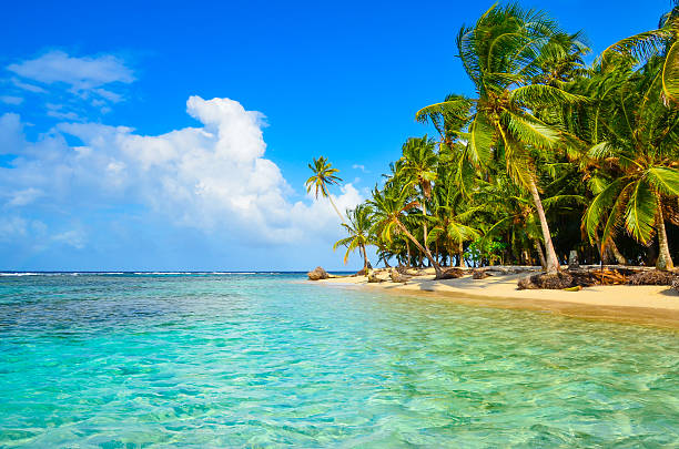 istock Paradise Tropical Island - San Blas archipelago in Panama 478660232