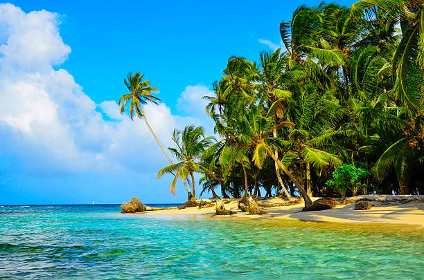 istock Paradise Tropical Island 478662728