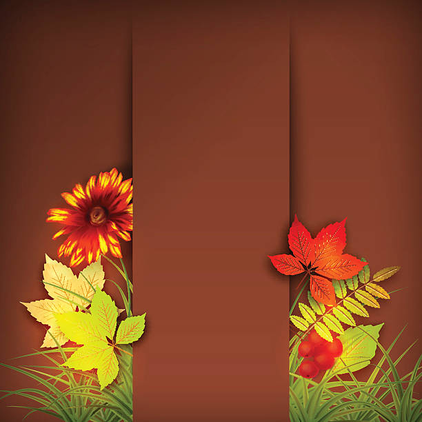 ilustraciones, imágenes clip art, dibujos animados e iconos de stock de las hojas de otoño vector otoño - autumn leaf single flower flower