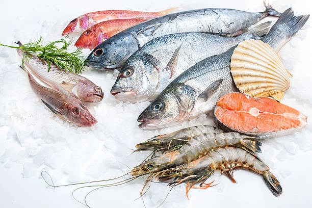 Seafood on ice Seafood on ice at the fish market commercial tuna fishing stock pictures, royalty-free photos & images