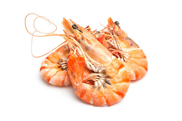 tiger shrimps cooked tiger shrimps on a white background black tiger shrimp stock pictures, royalty-free photos & images