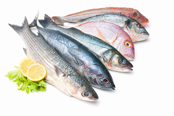 pesce isolato su sfondo bianco - market fish mackerel saltwater fish foto e immagini stock