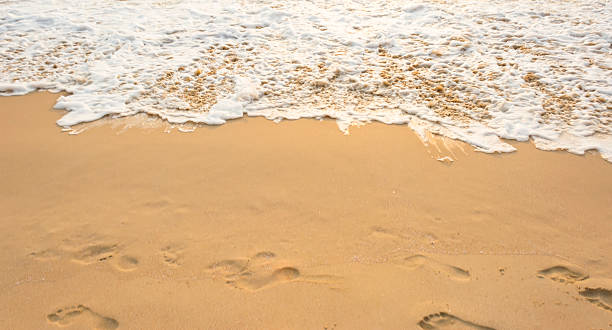 istock Sea wave and many foot print  on the beach background 478666234