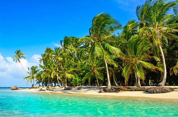 istock Paradise Tropical Island - San Blas archipelago in Panama 478666438