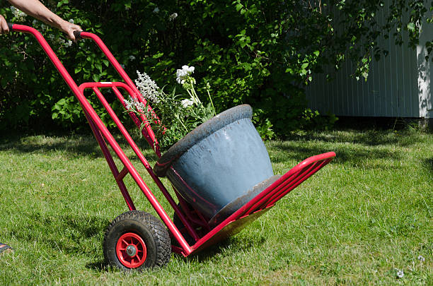 Wheelbarrow pushed part way into yard foliage.