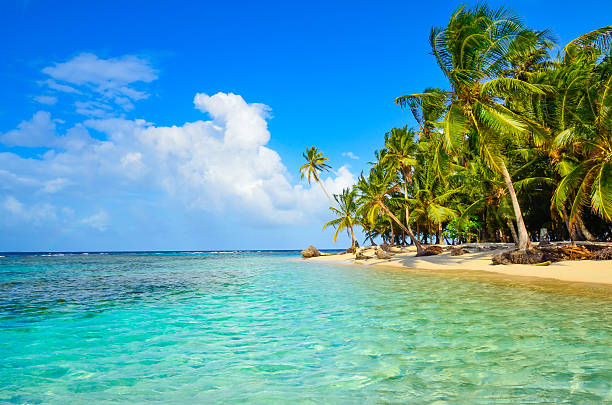 istock Paradise Tropical Island - San Blas archipelago in Panama 478666878