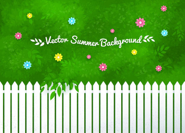 Blooming shrubs and white fence. Vector illustration of blooming shrubs and garden white fence. paved yard stock illustrations