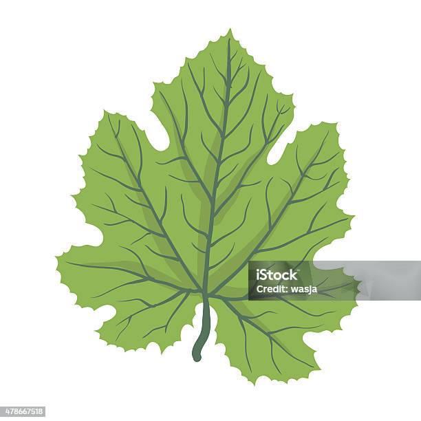 Green Leaf Of Tree Vector Illustration Stock Illustration - Download Image Now - 2015, Botany, Bush