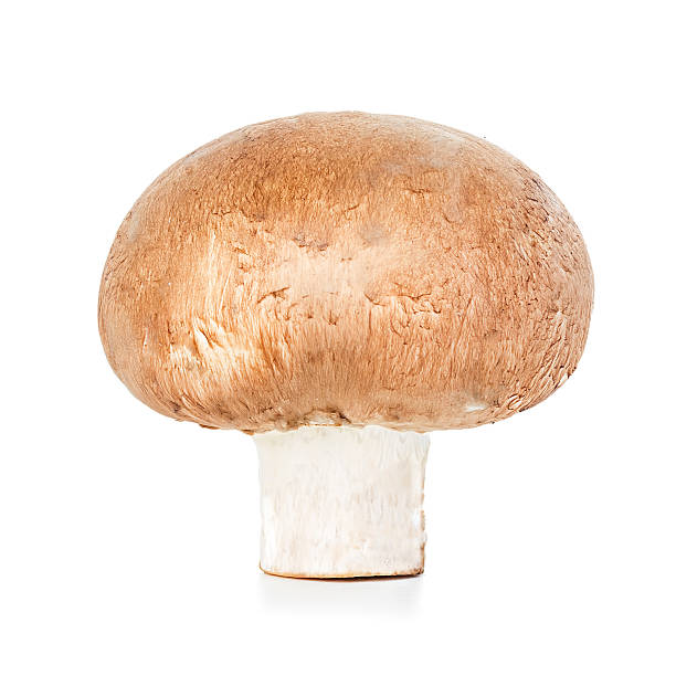 istock Brown mushroom mushrooms 478668612