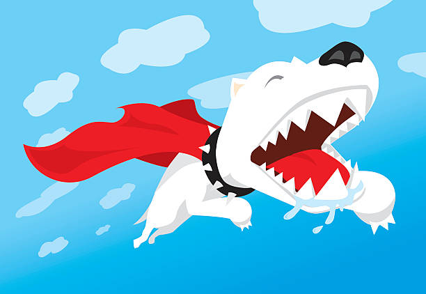 ilustrações de stock, clip art, desenhos animados e ícones de super cão a voar com cabo - heroes dog pets animal