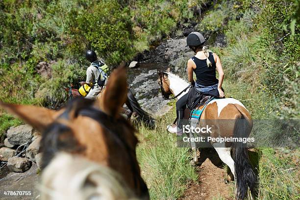 On A Guided Horseback Tour Stock Photo - Download Image Now - Trail Ride, Horse, Horseback Riding