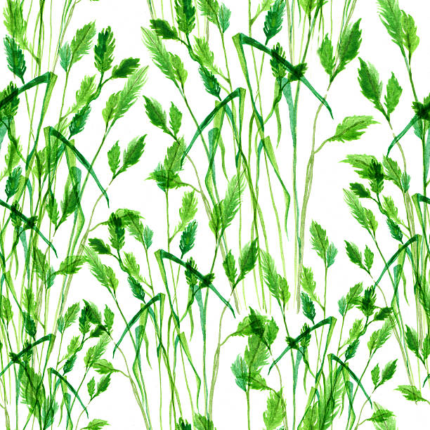 watercolor grass - seamless pattern vector art illustration