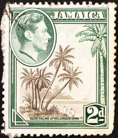 Bunch of palms on jamaican vintage stamp of early 20th  Century