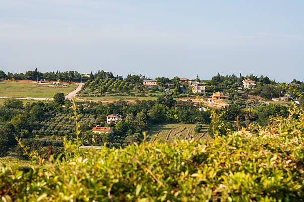 istock Walking Hills, Walking, Italy 478676000