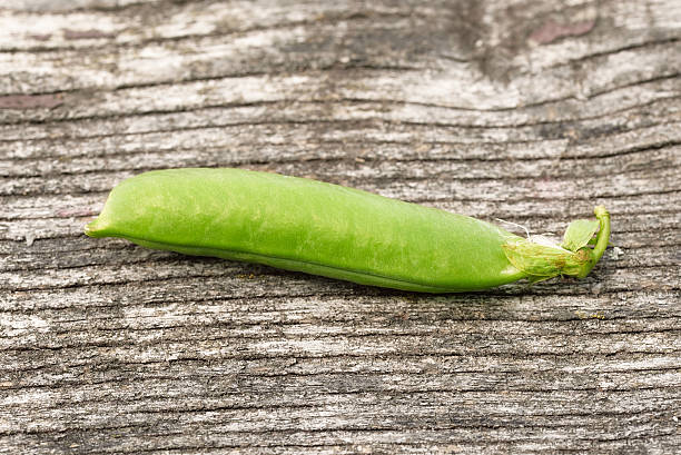 신선한 요리 나무 배경기술 - green pea pea pod sweet food freshness 뉴스 사진 이미지