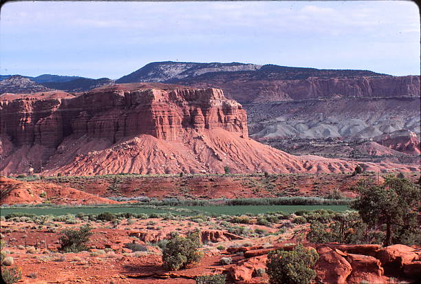istock CAPITOL  REEF  NATIONAL  PARK,  UTAH  1981   #2 478682176