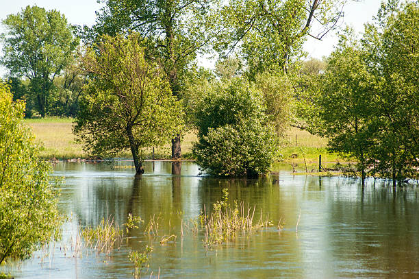 istock It's flooding down in Ponidzie region, Poland 478682259