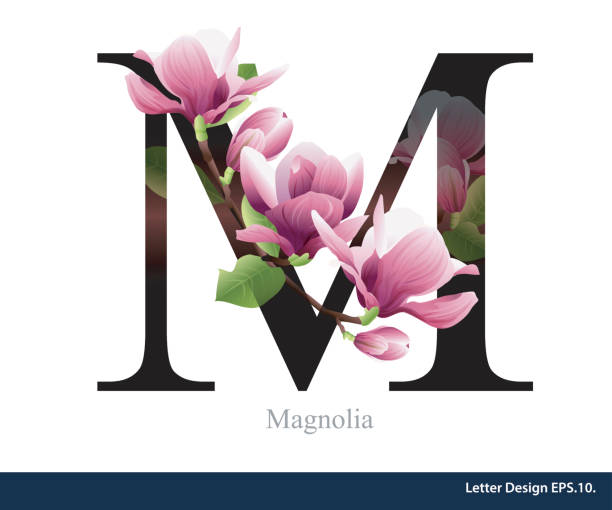 illustrations, cliparts, dessins animés et icônes de alphabet de vecteur lettre m avec fleur de magnolia. concept de l'abc. - letter m alphabet three dimensional shape render