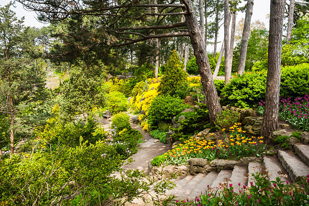 passaggi in giardino - landscaped spring canada footpath foto e immagini stock