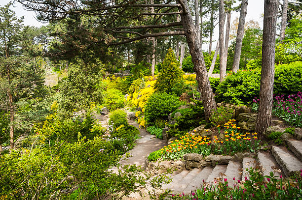 近くには庭園 - landscaped spring canada footpath ストックフォトと画像