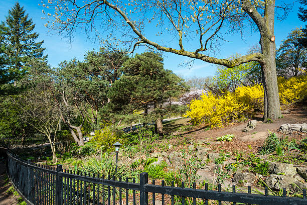 istock Spring Rock Garden is Just Stirring 478698315