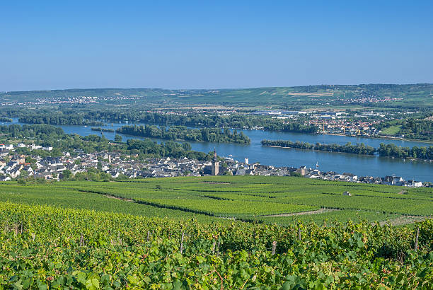 istock Ruedesheim,Rhine River,Germany 478703327