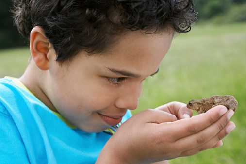 Closeup of young boy observing toad outdoors