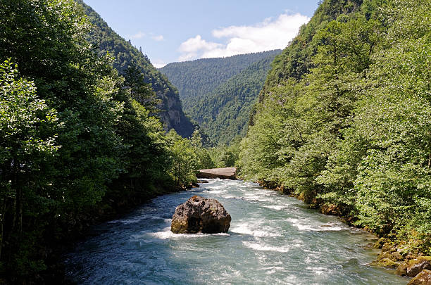 abhazia - eco turism 뉴스 사진 이미지