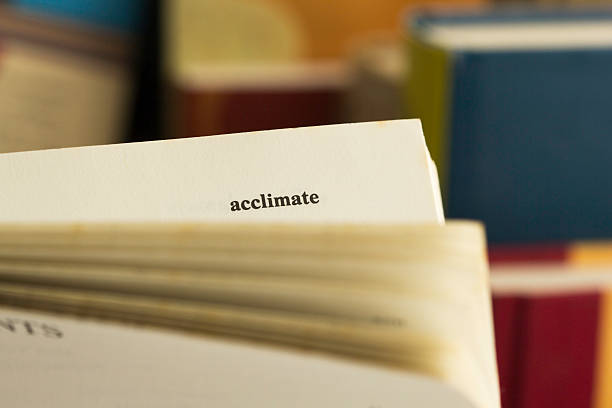 Acclimate Word "Acclimate" on a dictionary page. please  check out my portfolio for much much more. accustom stock pictures, royalty-free photos & images