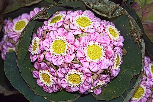 istock Pink lotus flower 478709572