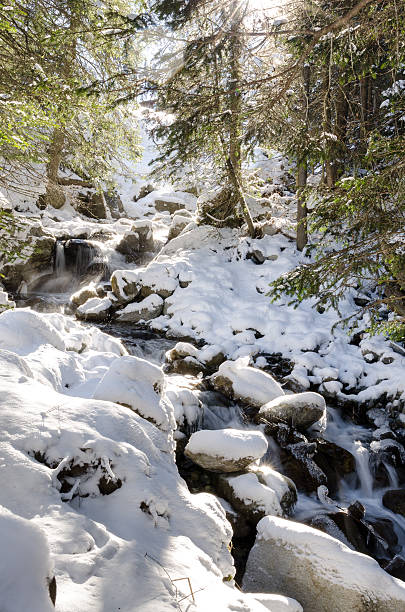 istock Flowing water stream in winter landscape 478711241