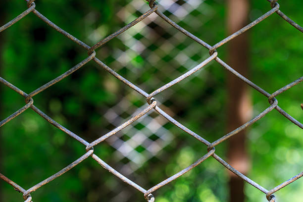 istock wire mesh steel with natural background 478713124