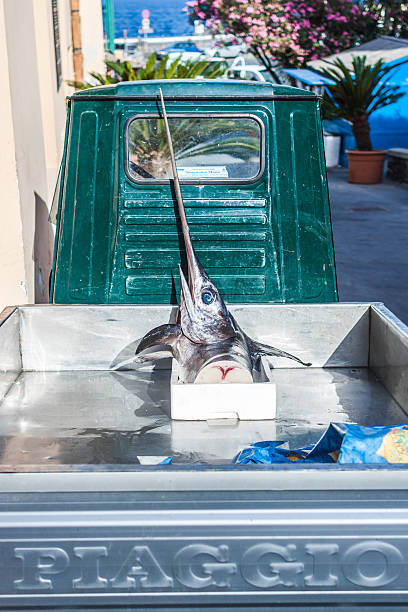 Sicily, Italy - July 9, 2012: Single swordfish head being transported on a Piaggio mini-van to the fish market, Aeolian Islands, Italy.