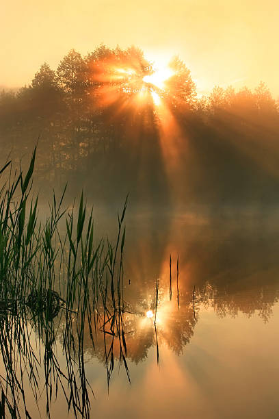 istock Reflection of the first rays of the sun 478714288