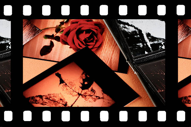 Photo Album with copy space. Great details!