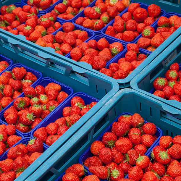 istock Market, strawberries in bowls, boxes 478714724