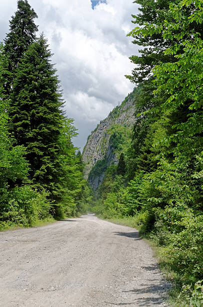 abhazia - eco turism 뉴스 사진 이미지