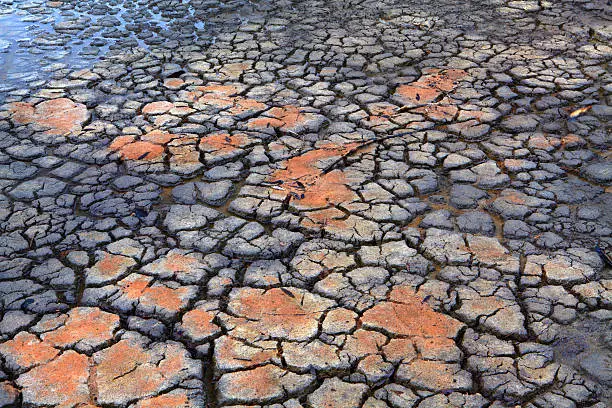 Photo of Drought  Rain falls on dry parched cracked earth