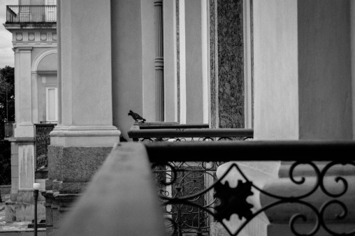 The pigeons on the porch of the old palace of the portuguese royal family at Brazil