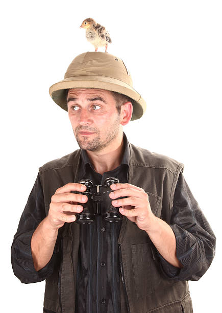 istock Small rare bird is hiding from birdwatcher on his head 478719996