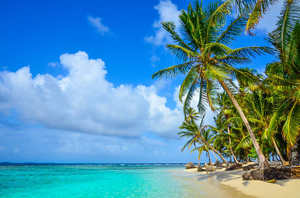 istock Paradise Tropical Island - San Blas archipelago in Panama 478723212