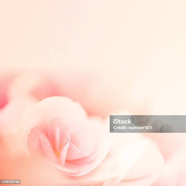 Sweet Color Roses In Blur Style On Mulberry Paper Texture Stock Photo - Download Image Now