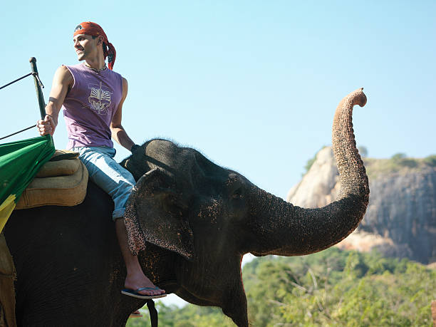 istock Side View Of Man Riding On Elephant 478726479