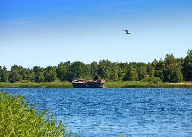 The old cargoship on the river bank Luga. Russia.