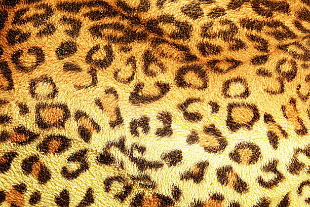 istock texture of print fabric stripes leopard for background 478729150
