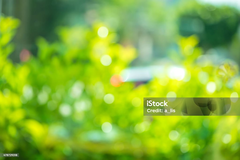 beautiful abstract natural spring green bokeh background beautiful abstract natural spring green bokeh background, blur effect for windows 2015 Stock Photo