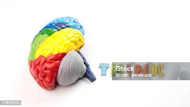 Colored Map Brain Anatomy Model With Letter Think Stock Photo - Download Image Now - 2015, Alertness, Analyzing