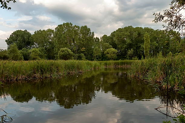 istock Small dam in the beautiful South park 478731902